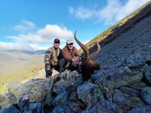 Jonas-Gredos-Ibex