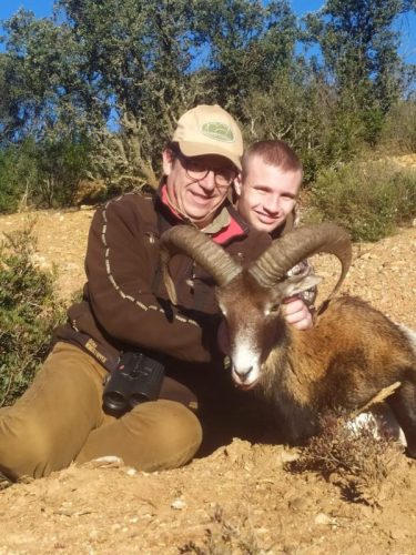Iberian-Mouflon-ME