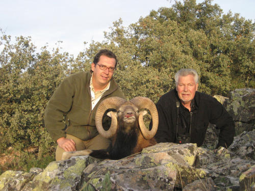 mouflon05