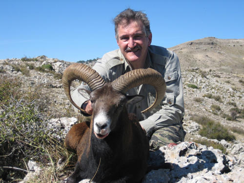 mouflon06