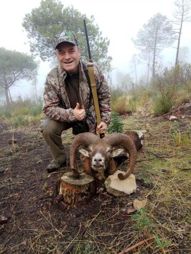mouflon21