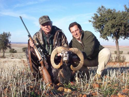 mouflon28