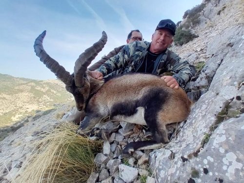 Jonas-Ronda-Ibex