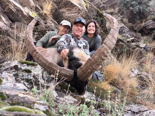 Jonas-Southeastern-Ibex