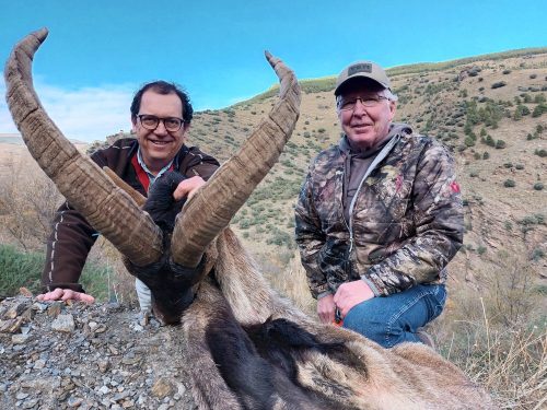 Southeastern-Ibex-Don